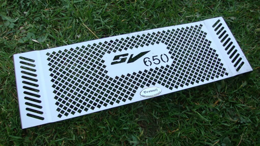 sv650 radiator fairing